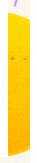 lfwzp4