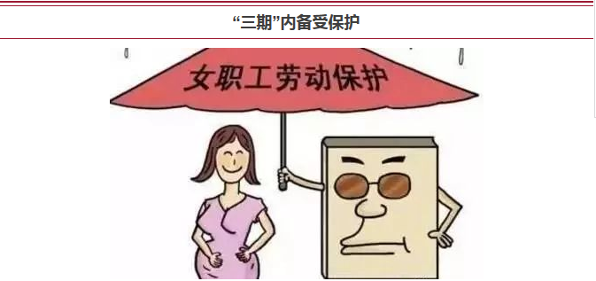 nvzhigongquanyi19