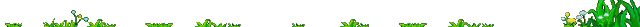 sjglpx32