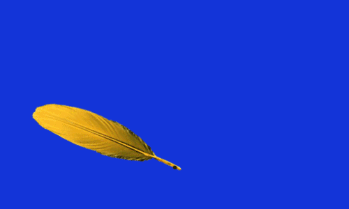 xlsptyspxk16