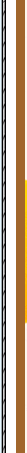 zhaoxiannashi20