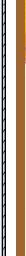 zhaoxiannashi25
