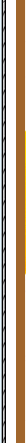 zhaoxiannashi42